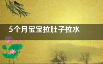 5个月宝宝拉肚子拉水怎么办 五个月宝宝拉肚子怎么办